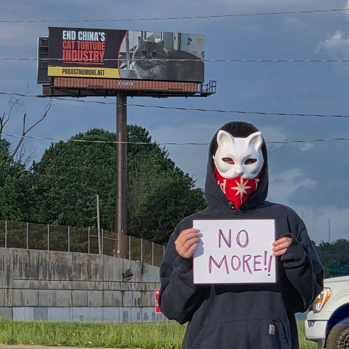 A masked Project No More volunteer holding a handwritten NO MORE sign below the billboard