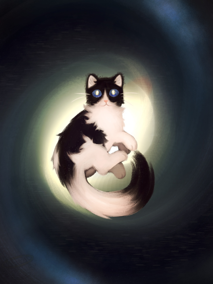 Milky Way, a tuxedo cat with galaxy eyes