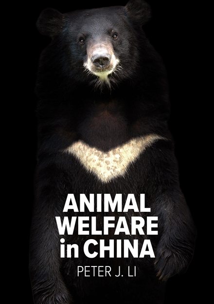 Cover of Animal Welfare in China by Peter J. Li: a moon bear standing against a black background