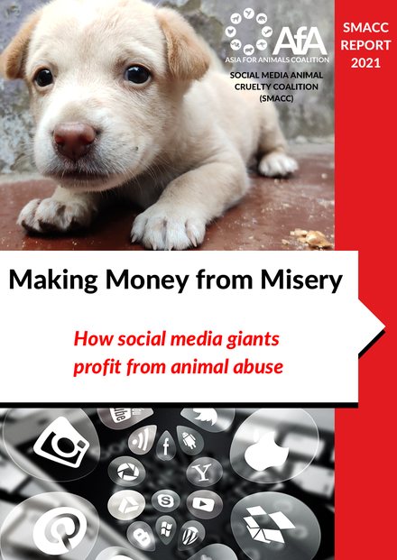 Cover of Making Money from Misery, the 2021 SMACC report: a puppy lying on the ground above a collage of social media icons